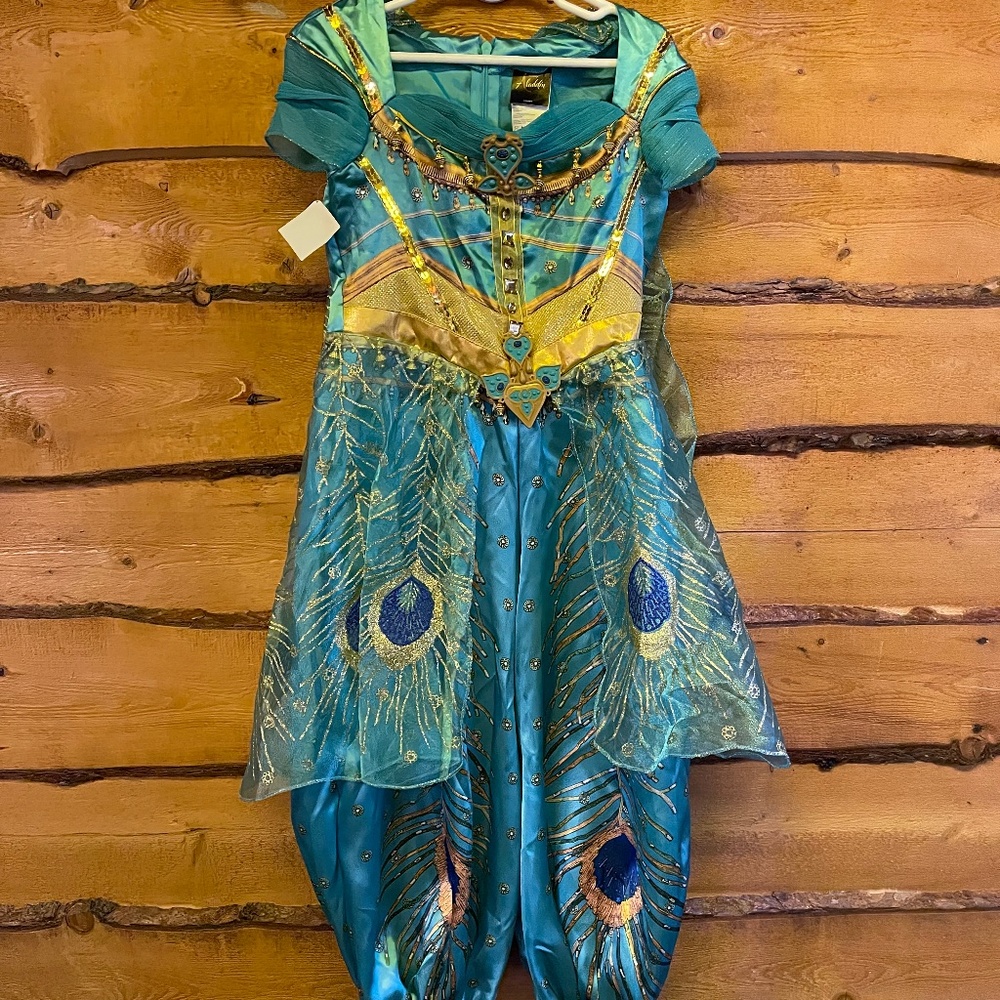 Disney Jasmine costume toddler